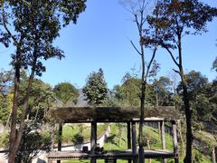 -中国大熊猫保护研究中心雅安碧峰峡基地