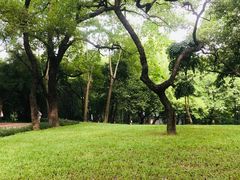 -晓港公园