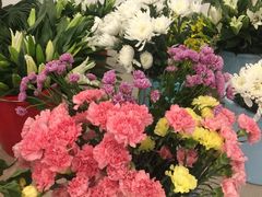 -达美乐比萨(文三路店)