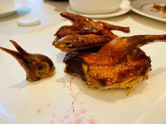 金牌妙龄乳鸽-铭家点心(秦岭路店)