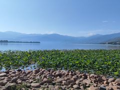-西昌邛海湿地