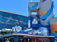 -海合安青岛极地海洋公园