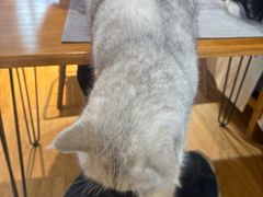 -小时光咖啡馆(开森度假森林店)