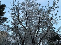 -USTC1958东区·by UNILAB