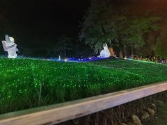 -广西壮族自治区药用植物园