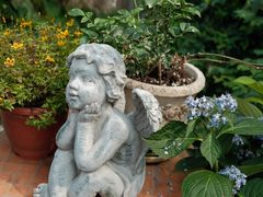 -Jo's Garden