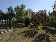 -永定河休闲森林公园