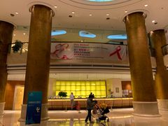 -上海浦东华美达大酒店