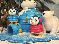 -湘江欢乐城欢乐雪域