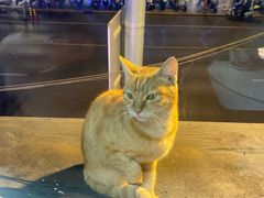 -崴海渔村(虹梅路店)