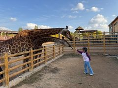 -鄂尔多斯野生动物园
