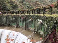 -郧西五龙河风景区