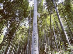 -上海佘山国家森林公园天马山园