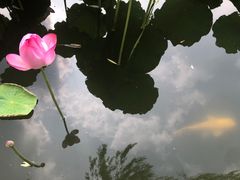 -中国农业博物馆