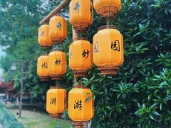 -西溪国家湿地公园