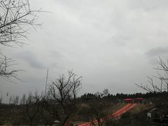-秀丽东方