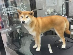 -宠物家(长阳店)