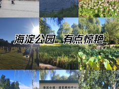 -海淀公园