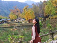 -千年银杏谷文化旅游区