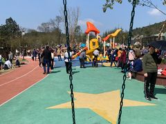 -铁山坪森林公园