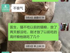 -瑞派先诺宠物医院•猫专科•普外科•中兽医(佛山院)