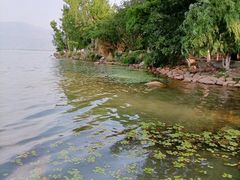 -西昌邛海湿地