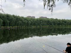 -东坝千亩湖公园