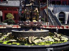 -上海东林寺(金山区)