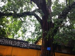 -桂林独秀峰王城景区