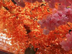 -八次方巴乡石锅鱼·金海湖水库活鱼(谷丰东路店)