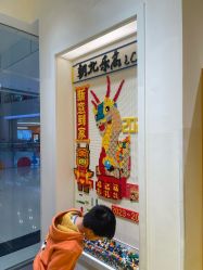 -乐高授权专卖店(朝阳大悦城店)