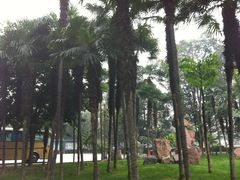 -四川大学(华西校区)