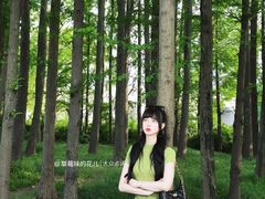 -尚贤河湿地