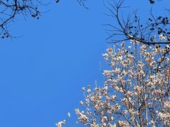 -碑林公园