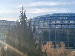 -北京植物园-展览温室