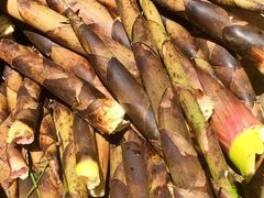 -东天目山风景区