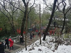 -灵岩山风景区