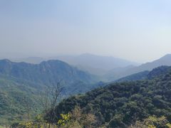 -大岭沟猕猴桃谷风景区