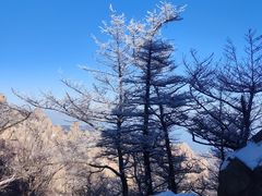 -崂山巨峰游览区