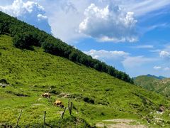 -灵山