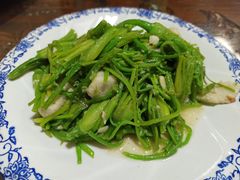 -阿鹏故事云南野生菌火锅(人民路店)