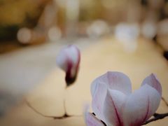 -白塘生态植物园