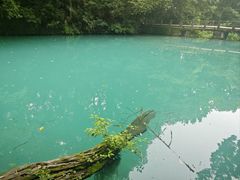 -浙江大学(之江校区)