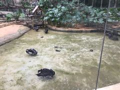 -柳州市动物园