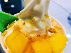 -Salud撒露欧洲冻酸奶(蓝色港湾店)