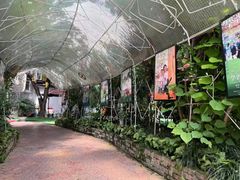 -金豆子幼稚园