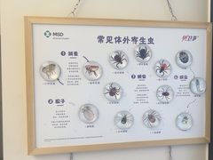 -瑞派康怡24h宠物医院·犬猫医疗中心·微创绝育(瑞景分院)