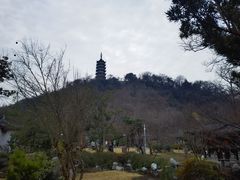 -焦山风景区
