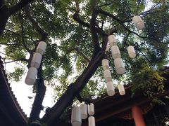 -醉云喃