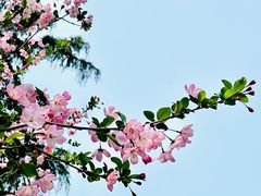 -范蠡湖公园